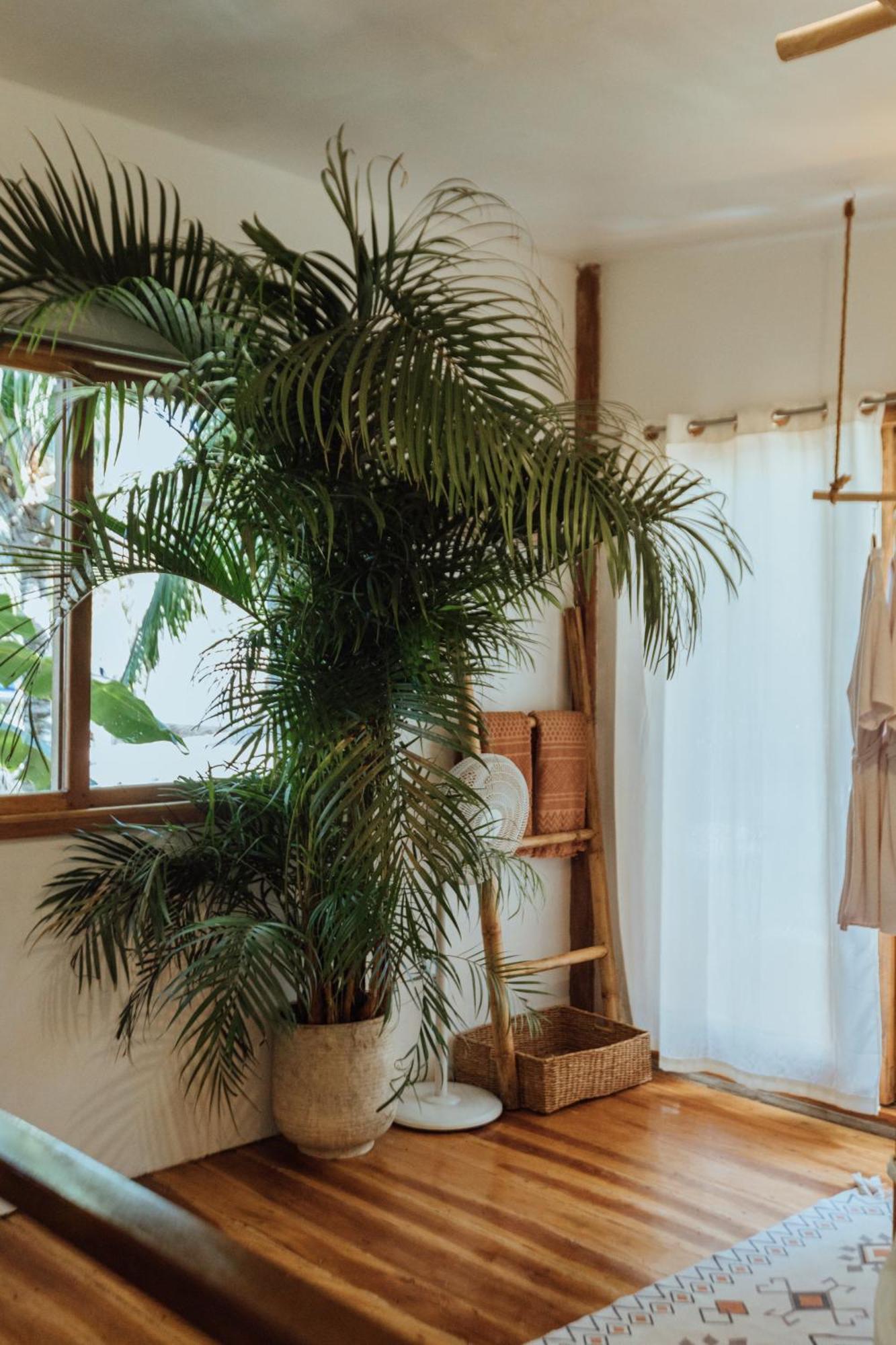 Mango Tango Villas Siargao General Luna  Ngoại thất bức ảnh